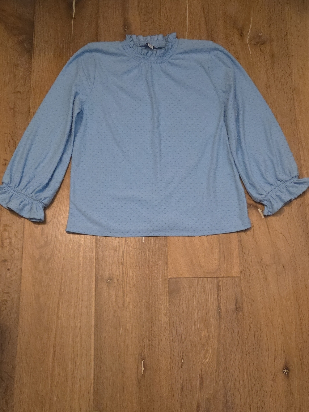 J. Crew Baby Blue Long Sleeve Clip Dot Top Ruffle Trim Classic Romantic M